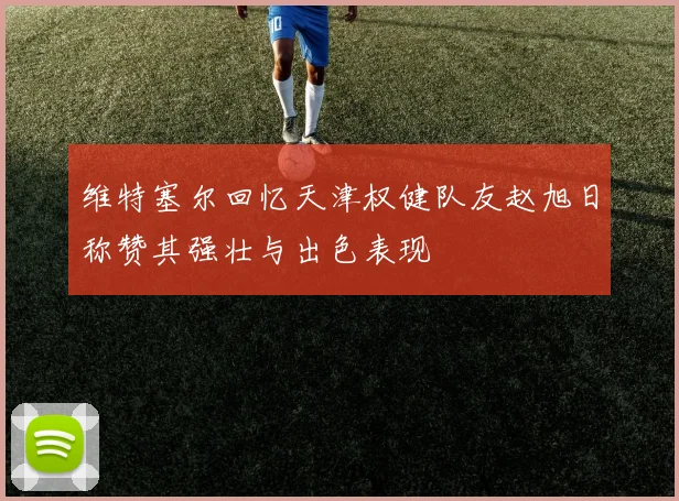 维特塞尔回忆天津权健队友赵旭日称赞其强壮与出色表现