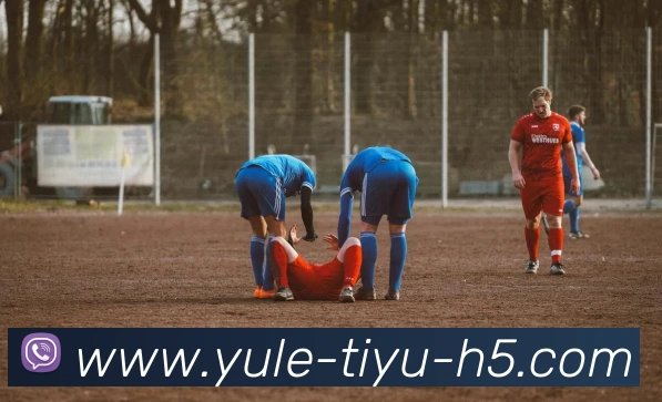 乐鱼体育平台生态图